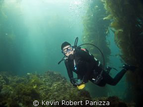 Diver swimming through Catalina's Underwater Park.
Canon... by Kevin Robert Panizza 
